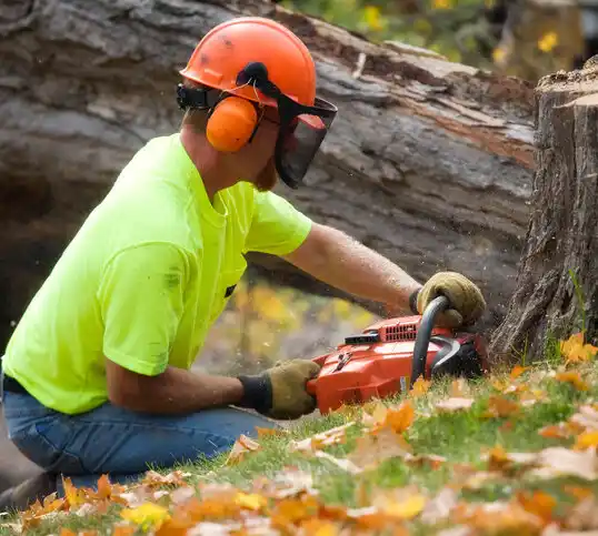 tree services Flemington